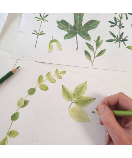 Organizer wodoodporny do wózka – Herbarium Makaszka