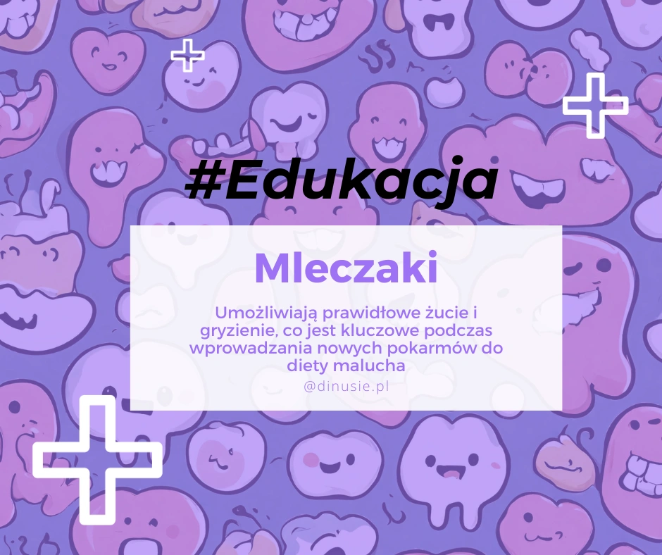 po co dziecku mleczaki